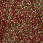 ITSparklingSugar3899